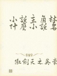 小说主角林羽是什么小说名