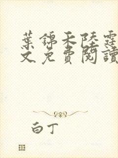 叶锦禾陆霆舟全文免费阅读封面