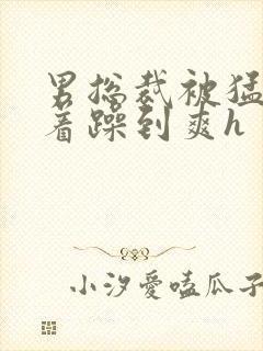 男总裁被猛男按着躁到爽h