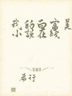 我的白富美老婆小说在线封面