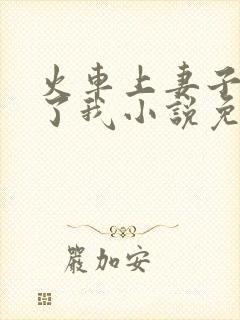 火车上妻子背叛了我小说免费阅读