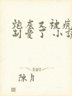 炮灰又被疯批强制爱了 小说