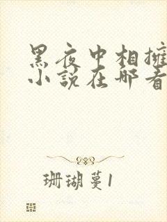黑夜中相拥原著小说在哪看