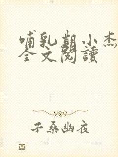 哺乳期小杰王芳全文阅读