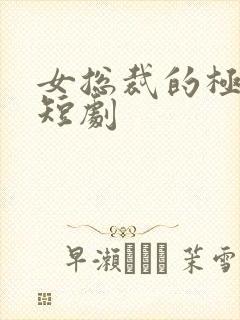 女总裁的极品小短剧