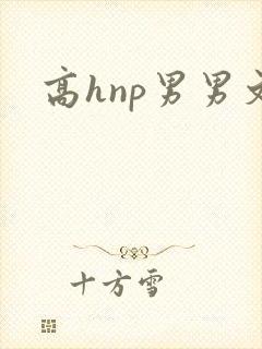 高hnp男男文