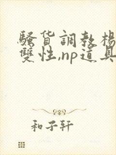 骚货调教杨洛(双性,np道具