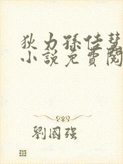 狄力孙佳慧官场小说免费阅读封面