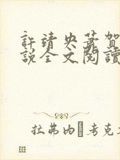 许靖央萧贺夜小说全文阅读最新章节封面