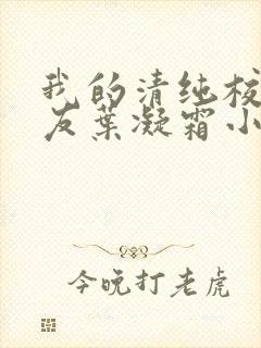 我的清纯校花女友叶凝霜小说