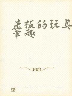 老板的玩具小米笔趣