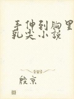 手伸到胸里揉她乳尖小说