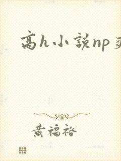 高h小说np爽