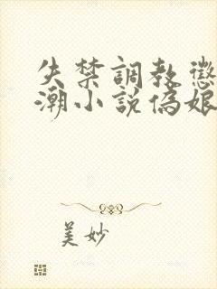 失禁调教惩罚高潮小说伪娘