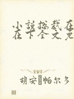 小说总裁在上我在下全文免费阅读