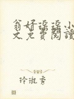 翁婿瑶瑶小说全文免费阅读最新章节封面