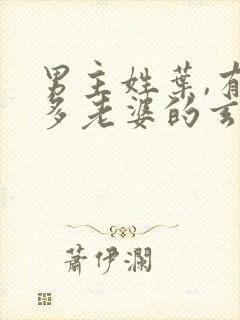 男主姓叶,有很多老婆的玄幻小说