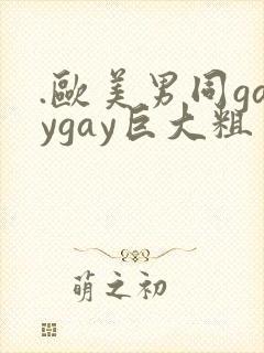 .欧美男同gaygay巨大粗