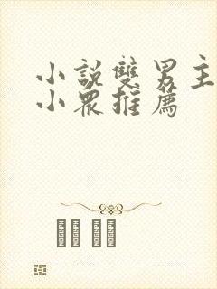 小说双男主推文小众推荐