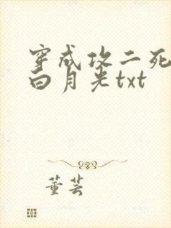穿成攻二死了的白月光txt