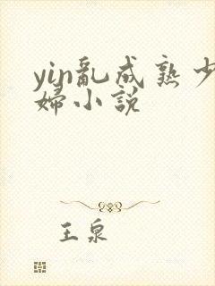 yin乱成熟少妇小说封面