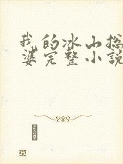 我的冰山总裁老婆完整小说封面