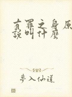 有罪之身原著小说叫什么封面