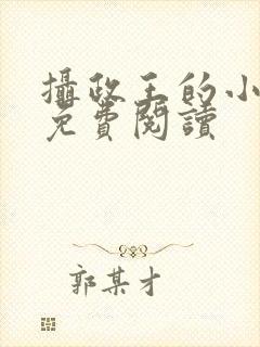 摄政王的小狂妃免费阅读封面