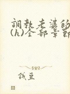 调教老婆的日常(h)全部章节封面