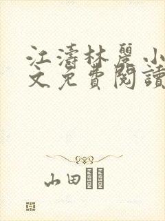 江涛林丽小说全文免费阅读最新章节封面