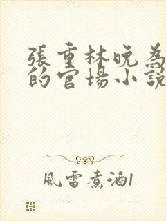 张重林晚为主角的官场小说