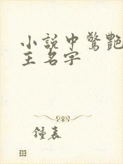 小说中惊艳的女主名字