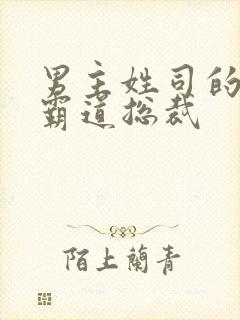 男主姓司的小说霸道总裁