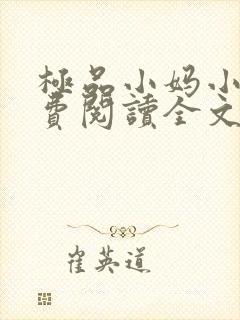 极品小妈小说免费阅读全文封面