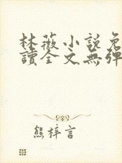 林薇小说免费阅读全文无弹窗封面