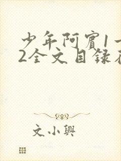 少年阿宾1一72全文目录在线