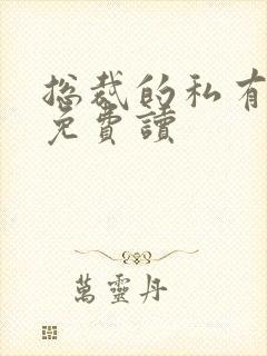 总裁的私有宝贝免费读