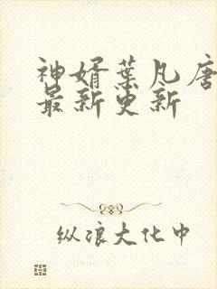 神婿叶凡唐若雪最新更新