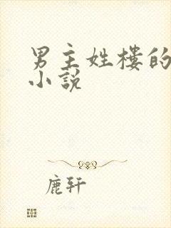 男主姓楼的总裁小说