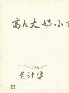 高h大奶小说