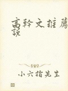 高干文推荐的小说