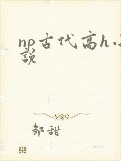 np古代高h小说
