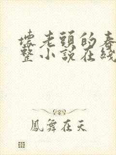 坏老头的春天完整小说在线阅读下载