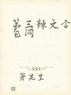 第三辣文合集书包网封面