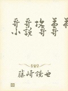 哥哥攻 弟弟受小说 哥哥封面