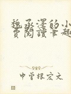 魏承泽的小说免费阅读笔趣阁