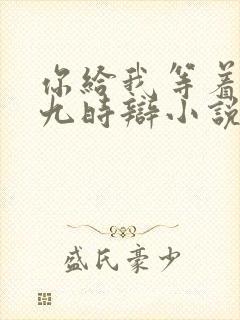 你给我等着by九时辩小说txt