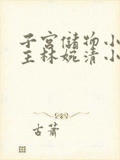 子宫储物小说女主林婉清小说