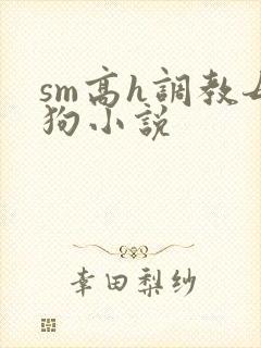 sm高h调教母狗小说