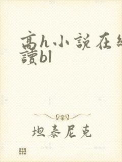 高h小说在线阅读bl